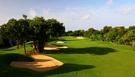 Mexico Golf Course Four